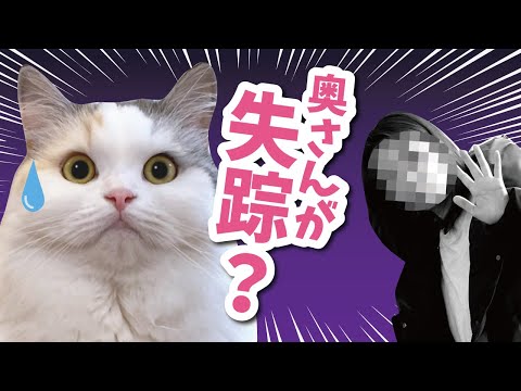 行方不明になった奥さんを探してたらすごいモノを見つけました…【おしゃべりする猫】