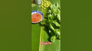 Miền Tây Mùa Nước Nổi cá lóc nướng lá cóc chùm ruột chấm muối ớt cực ngon Phượt.TV #phuottv #food