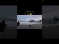 the cutest clip living inmy camera roll 🐶 💛