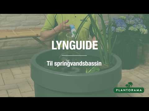 Video: DIY springvand: hvordan man gør en have unik