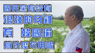 國民黨有最強母雞韓國瑜為什麼不用