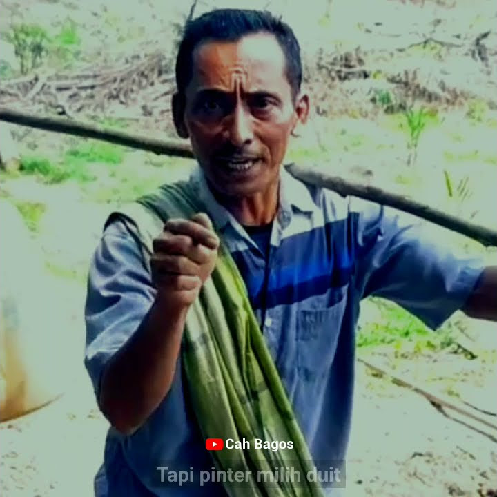 STORY WA | BAHASA JAWA | WONG WEDOK SAIKI PINTER MILIH DUIT