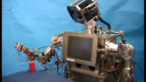 WAMOEBA-2Ri Visually guided reaching