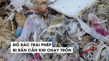 Tài xế đổ trộm rác thải bị rắn độc cắn khi đang chạy trốn