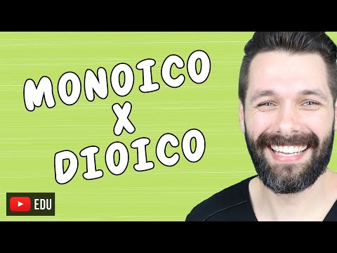 Vídeo: O que significam Dioicas e Monóicas: Entendendo os Tipos de Plantas Dióicas e Monóicas