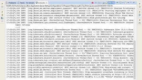 T2Ti ERP 2 0   Java WEB   Infra   11   WildFly 02