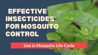 Mosquito Control Methods: Natural Repellents & Effective Insecticides