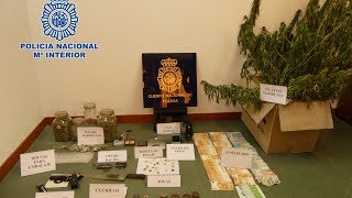 Desartellado un punto de venda de droga en Ribeira 140818