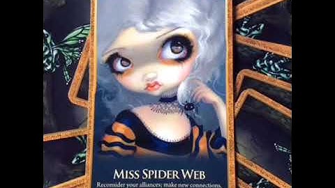 Learn Oracle Cards - Card 14 Miss Spider Webb Oracle Of The Shapeshifters