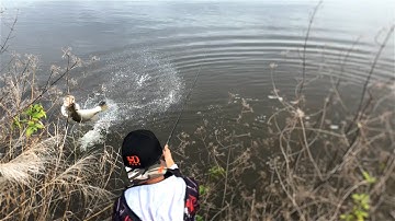 Du câu Cà Mau Ep1: Con Cá Phá Vỡ Kỉ Lục của anh Huấn - The Fish That Broke The Record !!!