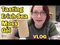 Tasting Irish Sea Moss Gel | VLOG