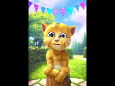 سورة القلم ٢ 