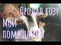 НЕСЧАСТНАЯ СТАРУШКА, ПРОДАЛ ЕЙ КОЗУ. ОБЗОР ХОЗЯЙСТВА ПАЦАНА СОСЕДА.