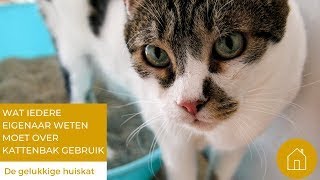 DE EERSTE SIGNALEN DAT JE KAT ONTEVREDEN IS OVER DE KATTENBAK en nog niet onzindelijk is!