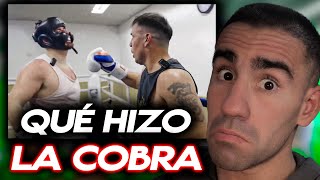 LA COBRA vs MARAVILLA SPARRING 🥊 Reacción leaagomez