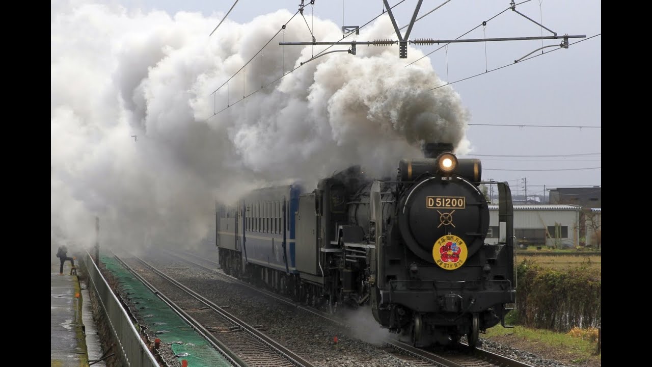 Ｄ５１ 蒸気機関車 1971年 初版本 hq720.jpg?sqp=-