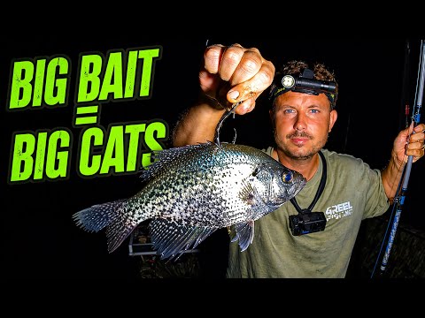 All Night Catfish Tournament from Start to Finish | 30 Boat Showdown