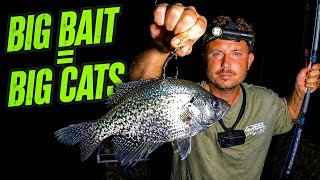 All Night Catfish Tournament from Start to Finish | 30 Boat Showdown