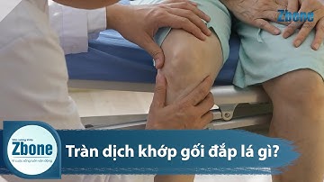Tràn dịch khớp gối đắp lá gì để đạt hiệu quả nhanh? - Zbone