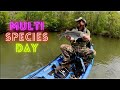 Multi Species Day - Springtime Middle Saluda River Kayak Fishing