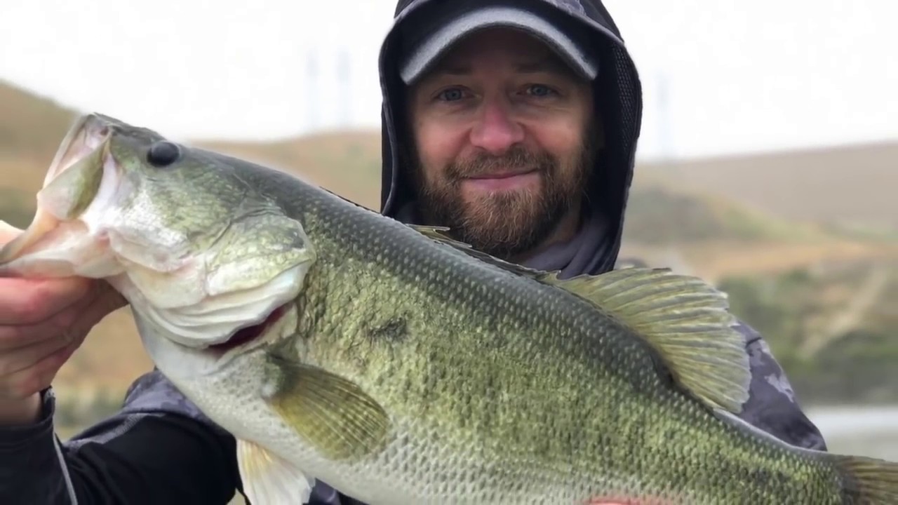 JERKBAITS for BIG BASS – Lagoon PB – Featuring BassRaider!