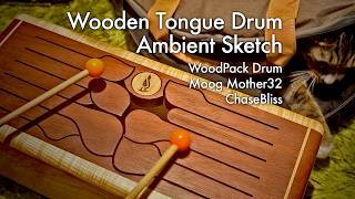 Wooden Tongue Drum Ambient Sketch | WoodPack Drum C Major