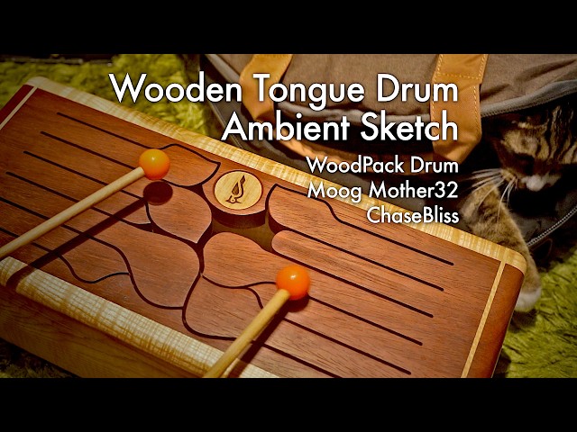 Wooden Tongue Drum Ambient Sketch | WoodPack Drum C Major