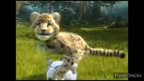 What Did You Think About My Wildest Awesomeness Zoo Trick?