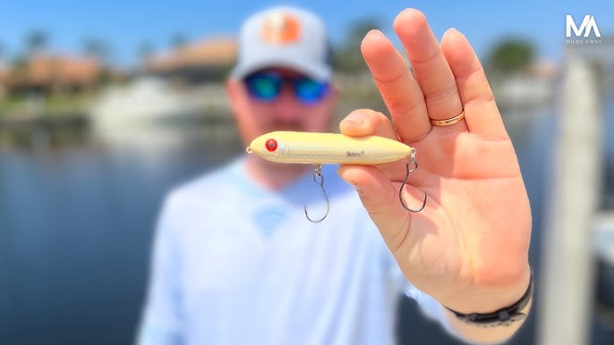 Bass Fishing: Heddon Chug 'N Spook Jr. 