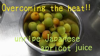 Japanese ancient summer heat fatigue drink \