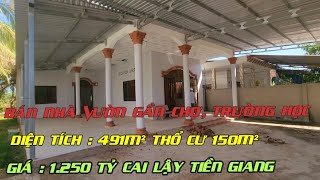 Tập 2811 : Bán nhà vườn gần chợ tam bình cai lậy tiền giang 491m² thổ cư 150m² giá 1,250 tỷ