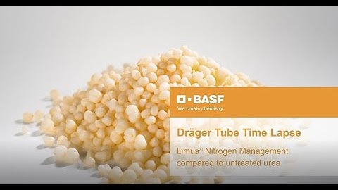 How Limus® Nitrogen Management by BASF compares to urea