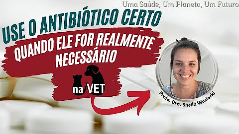 Como eliminar bactérias do organismo?