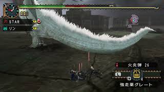 MHP2G,LBが行く狩猟日記外伝PART12