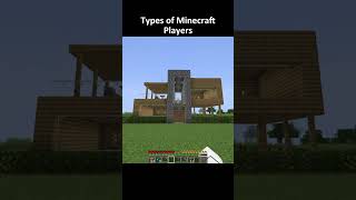 Types of Minecraft Players #usa