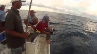 ryco strike ruby snapper 19 apr 2015 panaitan