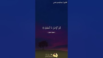 سورة عبس بصوت القارئ / عبدالرحمن فتحي