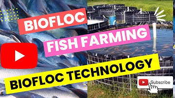 BioFloc Fish Farming//How To Start BioFloc//Fish Farming//Fish Technology