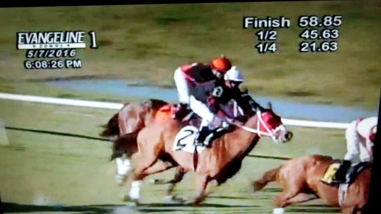 Evangeline Downs, Race 1 on the Turf, Derby Day 2016 YouTube