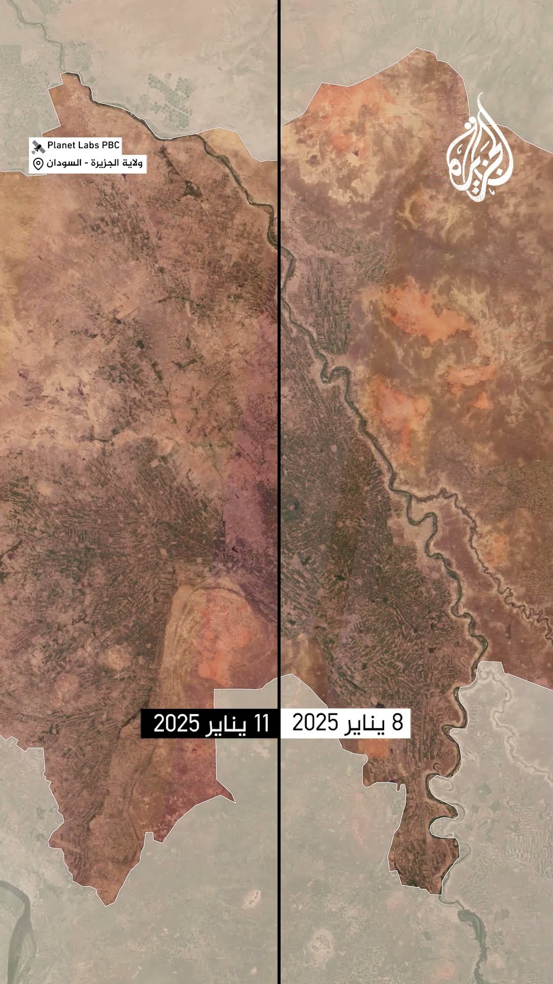 رقعة | تدهور بالغطاء النباتي في ولاية الجزيرة بالسودان