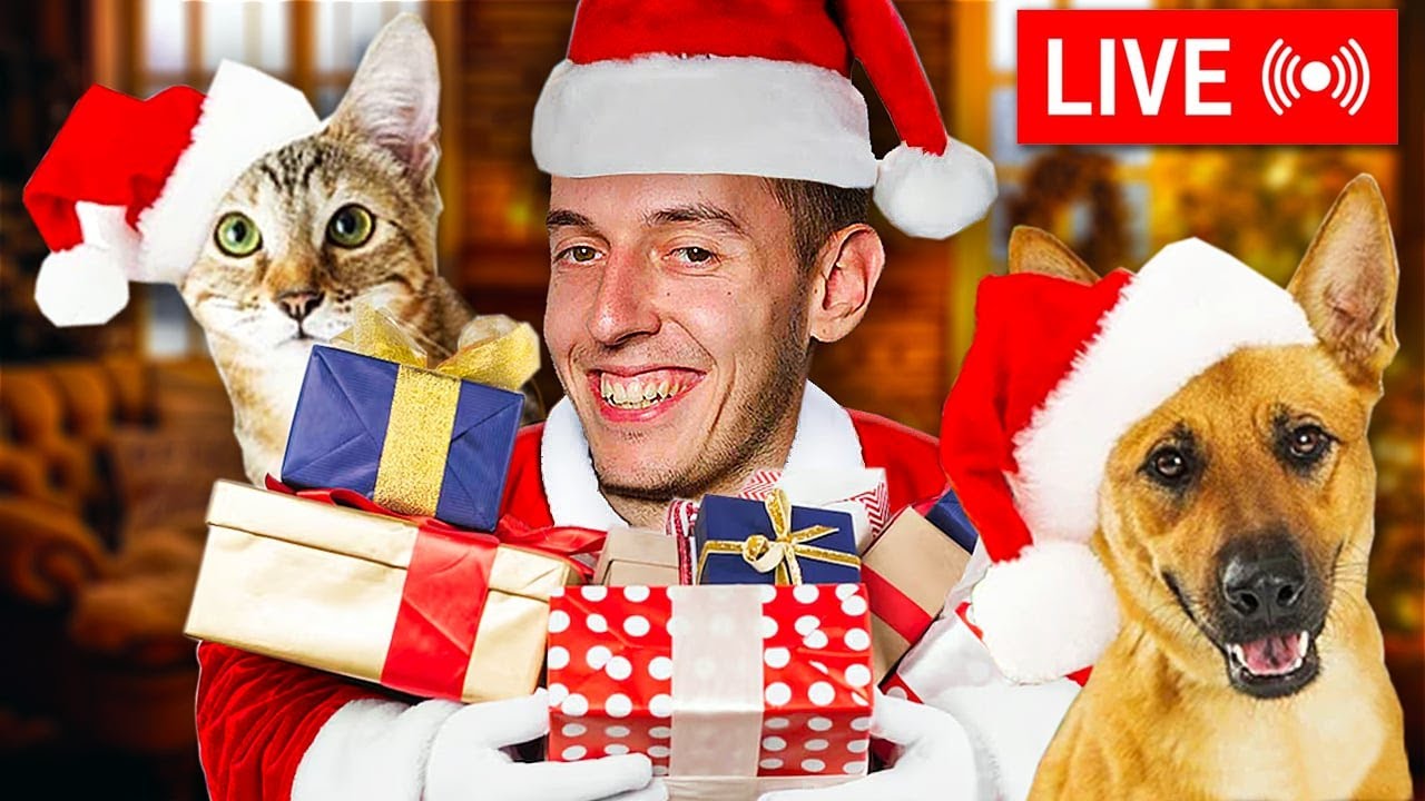 VÁNOČNÍ CHARITATIVNÍ LIVESTREAM PRO ÚTULKY! 🐕 | Storage Hunter Simulator #5