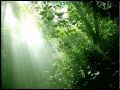 いのちの名前 - Spirited Away - (Harp ver.)