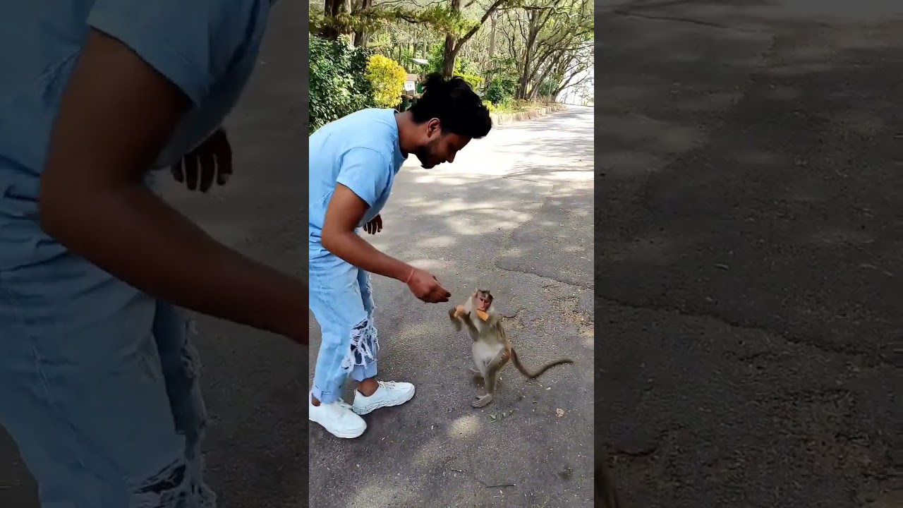 Nandi Hills😍Mini Vlog 