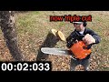 Echo 355T Chainsaw MOD