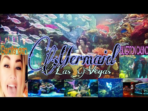 WANNA SEE A MERMAID INSIDE SILVERTON CASINO??? CHECK THIS OUT! MESMERIZING MERMAID/AQUARIUM 馃グ
