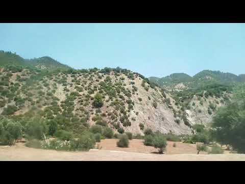 مشينا تغدينا في الكزاره ودرنا جوله على بعض الاماكن