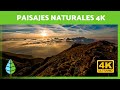 Música Relajante con PAISAJES NATURALES en movimiento en 4K 🌲