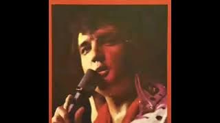 Burning Love - Elvis Presley (Instrumental)