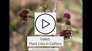 Create a Plant List