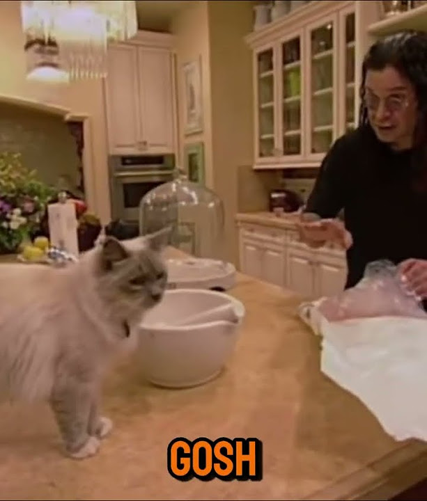 ozzy talks